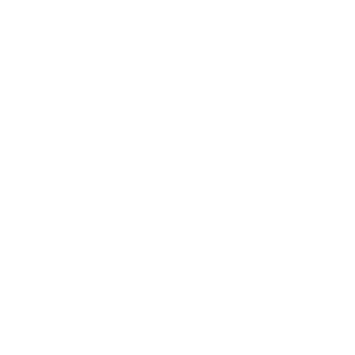 Strategy &<br>Due Diligence